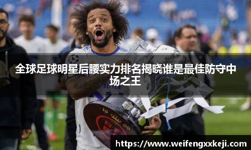 全球足球明星后腰实力排名揭晓谁是最佳防守中场之王